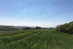 Aussicht auf Burg Münzenberg von Lich-Muschenheim
