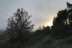 Keltenweg am Hausberg Hoch-Weisel