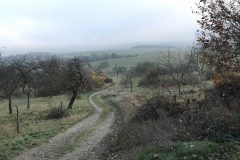 Wege in der Wetterau Hoch-Weisel