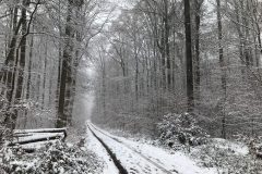 Winter im Griedeler Markwald