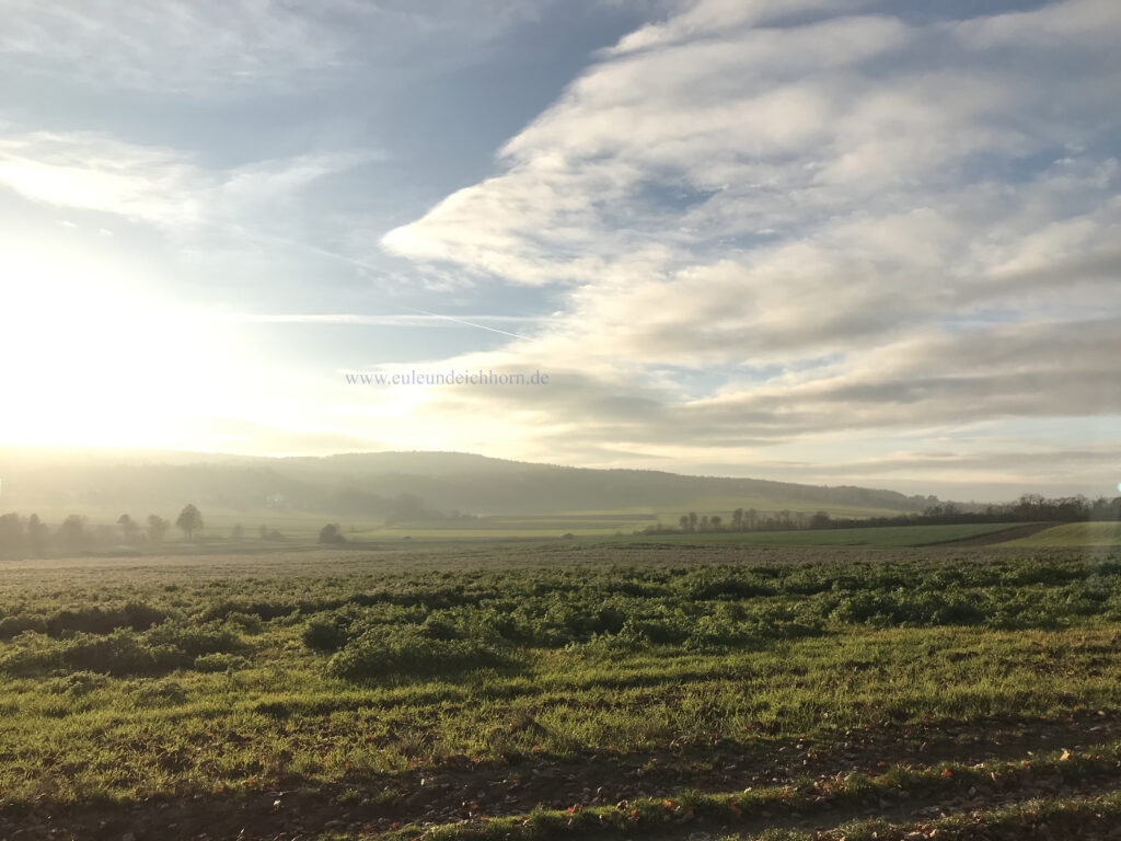 Blick zur B3 im November-Nebel