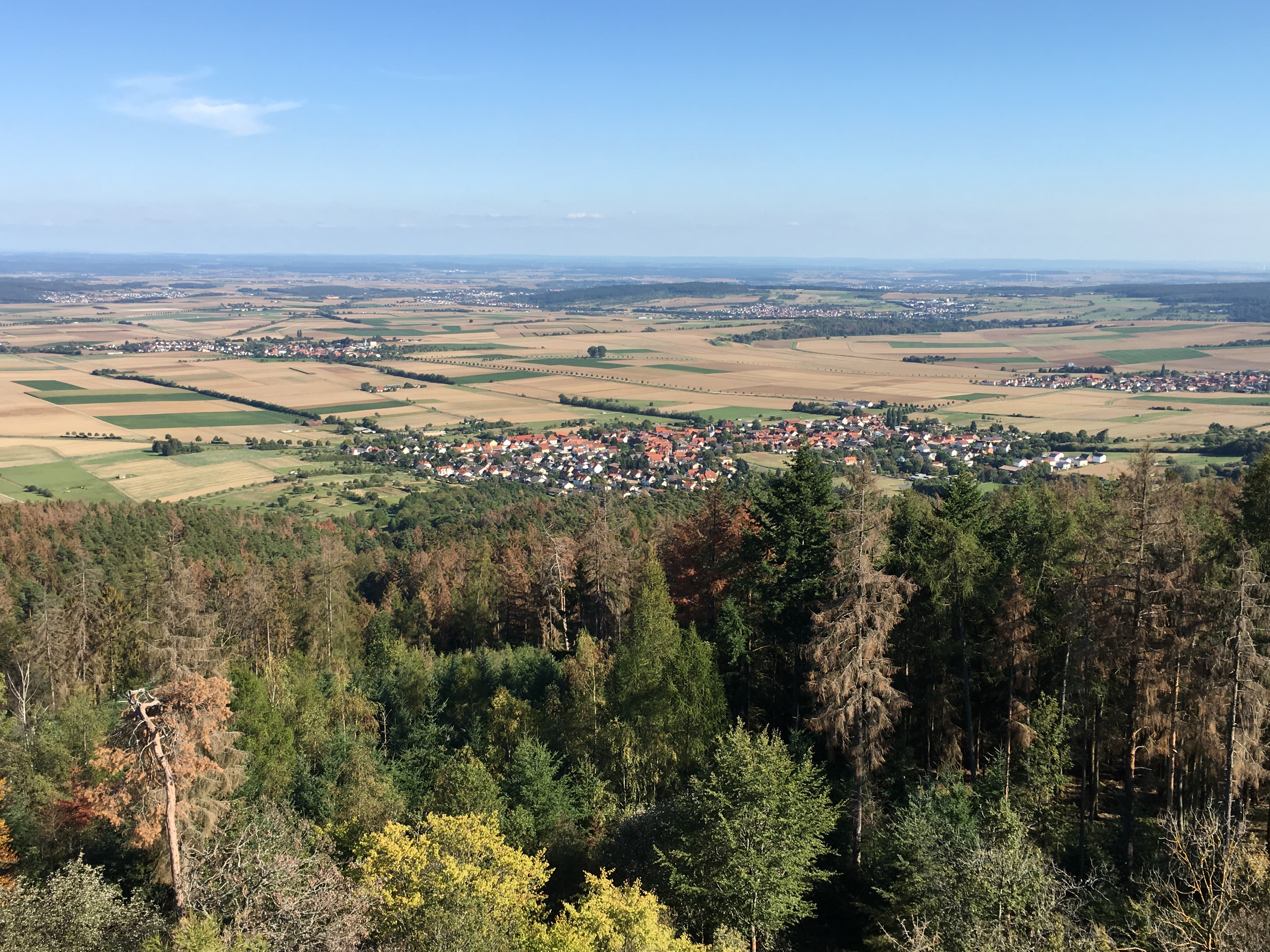 Wald am Hausberg