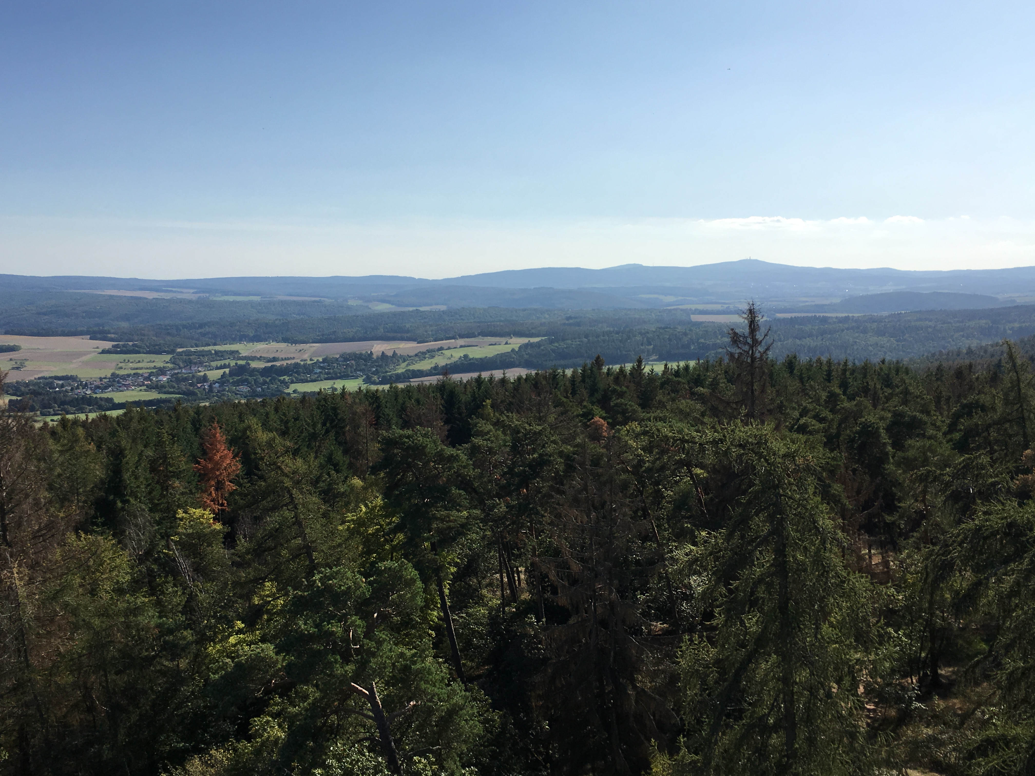 Lebensraum Wald