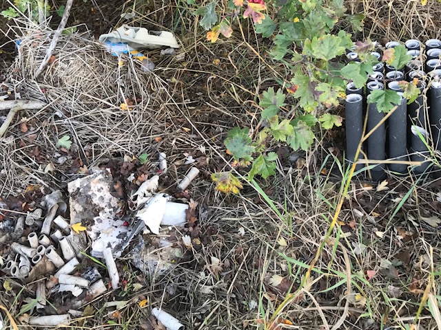 Silvesterabfall vergangener Jahre im Gebüsch
