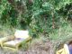 Sofagarnitur im Obstbaum