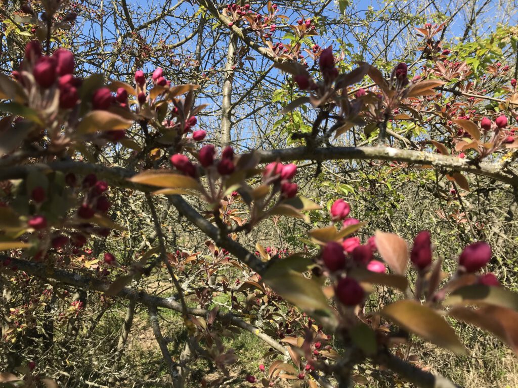 Dieses Bild hat ein leeres Alt-Attribut. Der Dateiname ist IMG_0528-1-1024x768.jpg