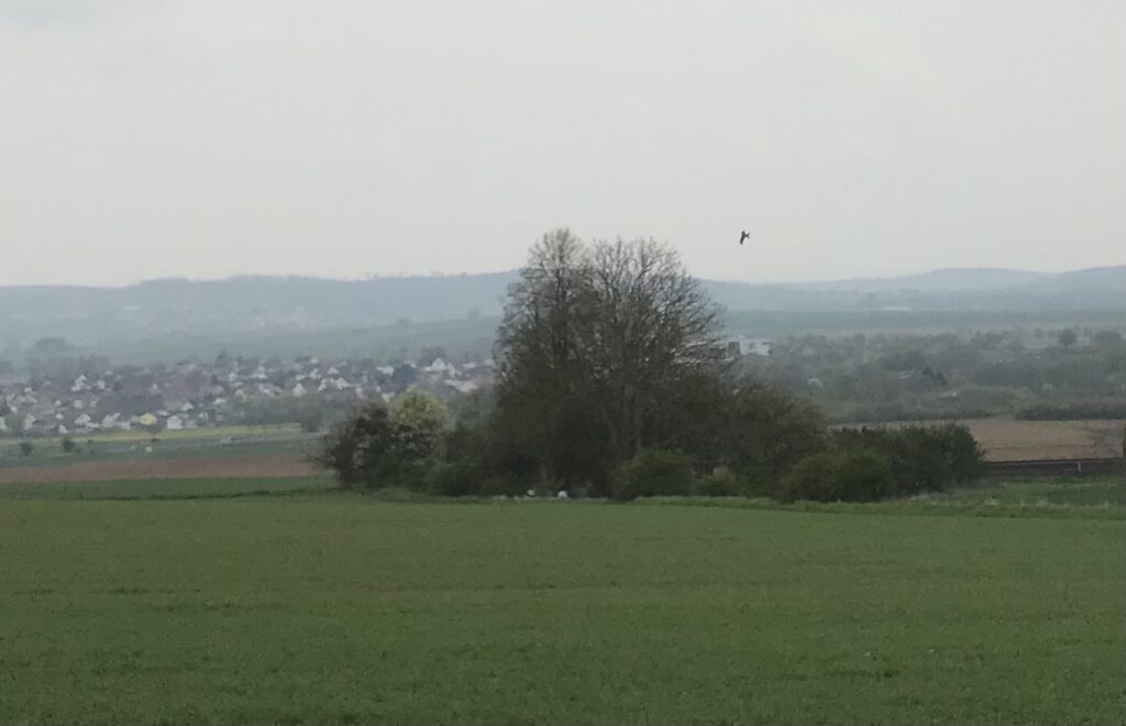 Dieses Bild hat ein leeres Alt-Attribut. Der Dateiname ist IMG_0621-2-1024x661.jpg