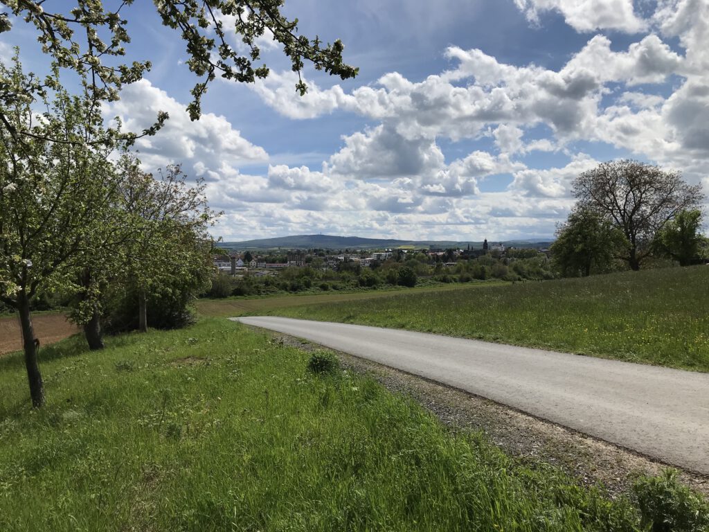 Wege zum Wald