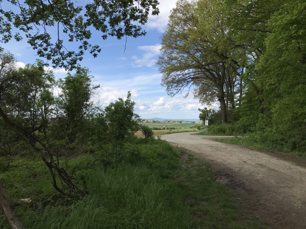 Wegkreuzung am Limes
